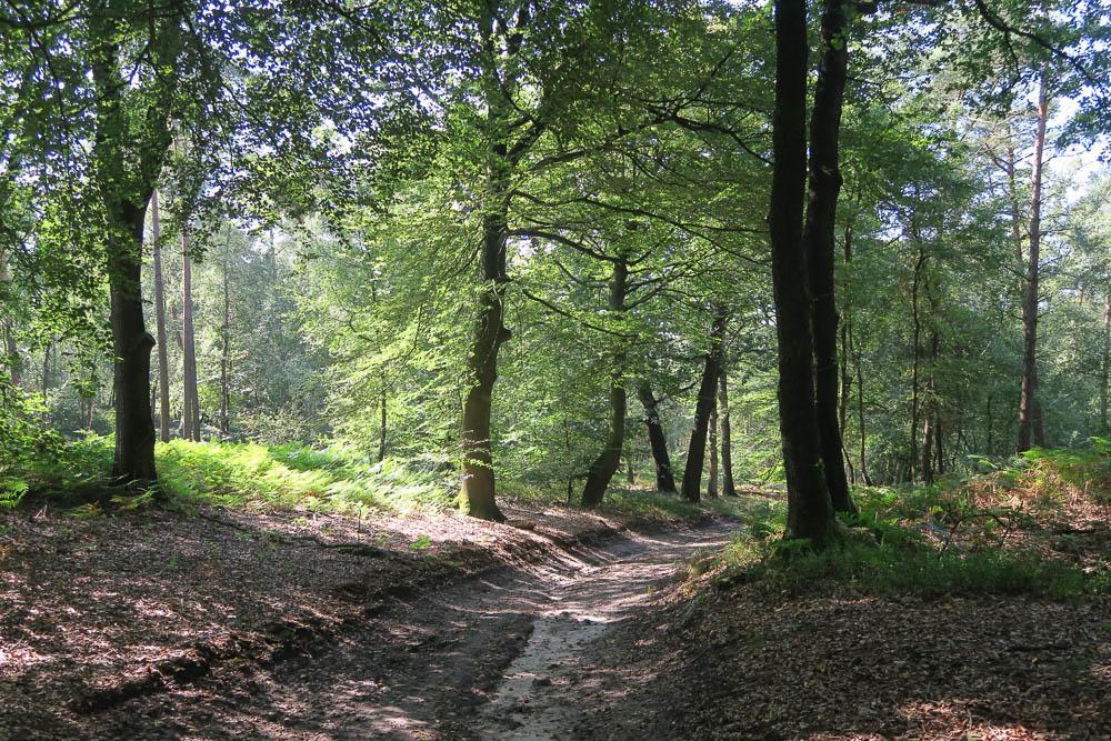 Het Kleine Landgoed Villa Haarle Luaran gambar
