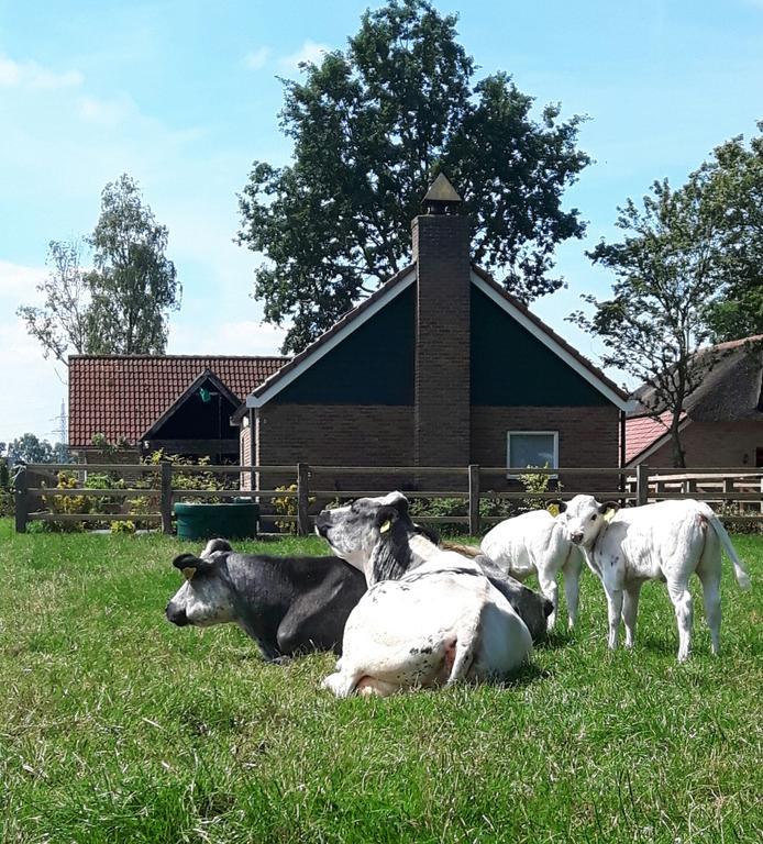 Het Kleine Landgoed Villa Haarle Luaran gambar